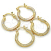 Oro Laminado Small Hoop, Gold Filled Style Polished, Tricolor, 02.170.0205.1.20