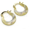 Oro Laminado Small Hoop, Gold Filled Style Diamond Cutting Finish, Tricolor, 02.102.0043.20