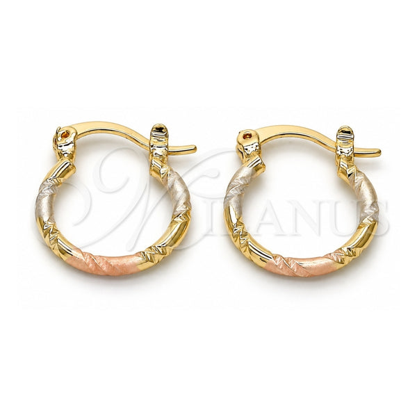 Oro Laminado Small Hoop, Gold Filled Style Diamond Cutting Finish, Tricolor, 02.96.0088.2.15