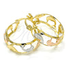 Oro Laminado Small Hoop, Gold Filled Style Dolphin Design, Polished, Tricolor, 02.106.0034.1.20