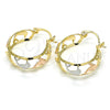 Oro Laminado Small Hoop, Gold Filled Style Dolphin Design, Polished, Tricolor, 02.106.0034.1.20