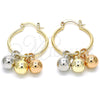 Oro Laminado Small Hoop, Gold Filled Style Polished, Tricolor, 02.63.2632.1.25