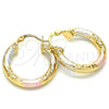 Oro Laminado Small Hoop, Gold Filled Style Diamond Cutting Finish, Tricolor, 02.170.0250.25