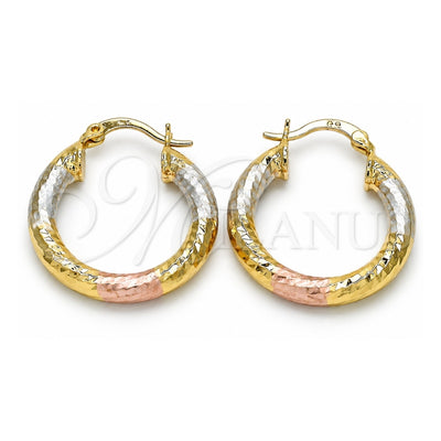 Oro Laminado Small Hoop, Gold Filled Style Diamond Cutting Finish, Tricolor, 02.170.0250.25