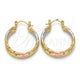 Oro Laminado Small Hoop, Gold Filled Style Polished, Tricolor, 02.170.0252.25