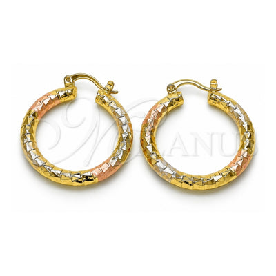 Oro Laminado Medium Hoop, Gold Filled Style Diamond Cutting Finish, Tricolor, 02.170.0109.1.30