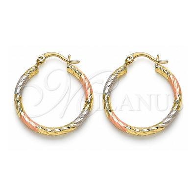 Oro Laminado Medium Hoop, Gold Filled Style Diamond Cutting Finish, Tricolor, 02.213.0155.1.30