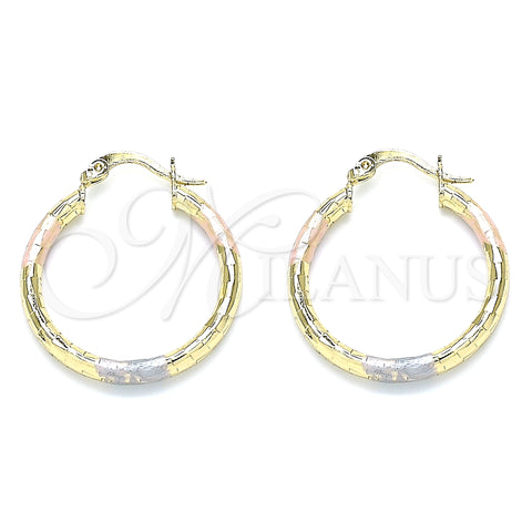 Oro Laminado Small Hoop, Gold Filled Style Diamond Cutting Finish, Tricolor, 02.213.0243.25