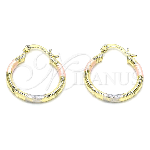 Oro Laminado Small Hoop, Gold Filled Style Diamond Cutting Finish, Tricolor, 02.213.0152.1.25