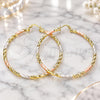 Oro Laminado Large Hoop, Gold Filled Style Diamond Cutting Finish, Tricolor, 02.213.0250.60
