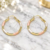 Oro Laminado Medium Hoop, Gold Filled Style Diamond Cutting Finish, Tricolor, 02.213.0162.1.30
