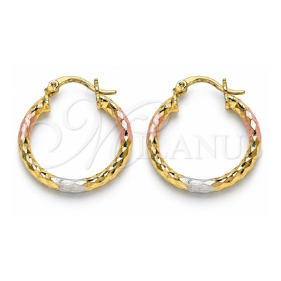 Oro Laminado Small Hoop, Gold Filled Style Hollow Design, Diamond Cutting Finish, Tricolor, 02.213.0154.1.25