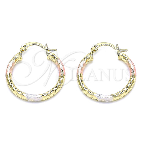 Oro Laminado Small Hoop, Gold Filled Style Hollow Design, Diamond Cutting Finish, Tricolor, 02.213.0154.1.25