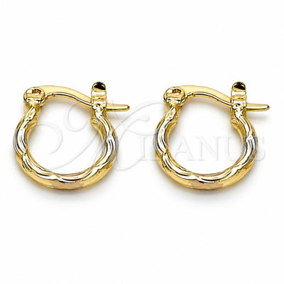 Oro Laminado Small Hoop, Gold Filled Style Diamond Cutting Finish, Tricolor, 02.96.0080.2.12
