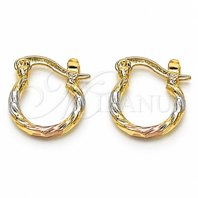 Oro Laminado Small Hoop, Gold Filled Style Diamond Cutting Finish, Tricolor, 02.96.0084.2.12