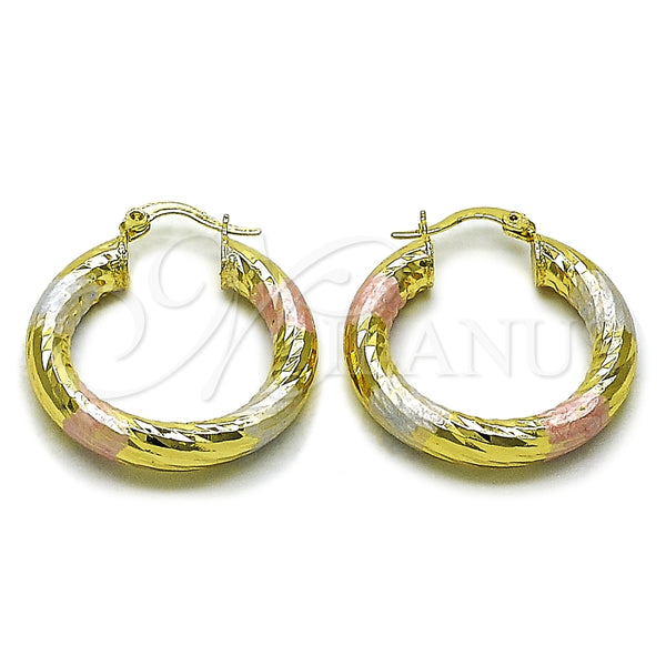 Oro Laminado Medium Hoop, Gold Filled Style Hollow Design, Diamond Cutting Finish, Tricolor, 02.213.0311.1.30