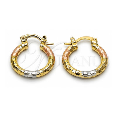 Oro Laminado Small Hoop, Gold Filled Style Diamond Cutting Finish, Tricolor, 02.213.0252.1.20