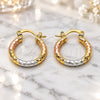 Oro Laminado Small Hoop, Gold Filled Style Diamond Cutting Finish, Tricolor, 02.213.0154.1.20