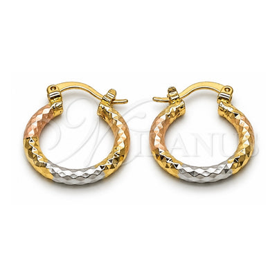 Oro Laminado Small Hoop, Gold Filled Style Diamond Cutting Finish, Tricolor, 02.213.0154.1.20