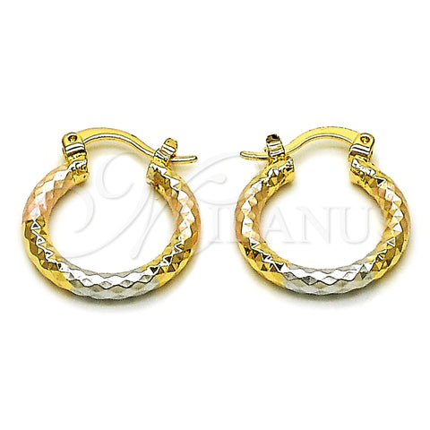 Oro Laminado Small Hoop, Gold Filled Style Diamond Cutting Finish, Tricolor, 02.213.0154.1.20