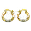 Oro Laminado Small Hoop, Gold Filled Style Diamond Cutting Finish, Tricolor, 02.213.0154.1.20