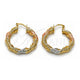Oro Laminado Medium Hoop, Gold Filled Style Twist and Hollow Design, Polished, Tricolor, 02.170.0586.30