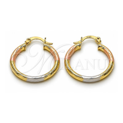 Oro Laminado Small Hoop, Gold Filled Style Hollow Design, Diamond Cutting Finish, Tricolor, 02.213.0242.25