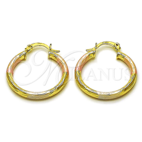 Oro Laminado Small Hoop, Gold Filled Style Hollow Design, Diamond Cutting Finish, Tricolor, 02.213.0242.25
