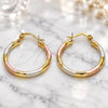 Oro Laminado Medium Hoop, Gold Filled Style Hollow Design, Diamond Cutting Finish, Tricolor, 02.213.0252.1.30