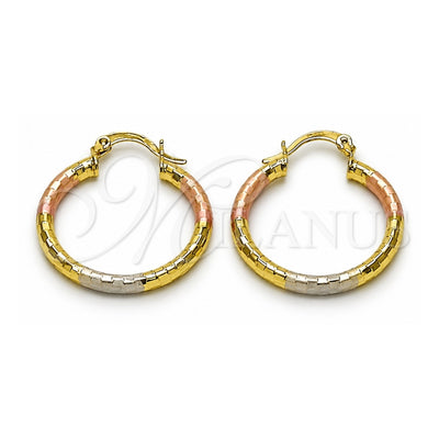 Oro Laminado Small Hoop, Gold Filled Style Hollow Design, Diamond Cutting Finish, Tricolor, 02.213.0156.1.25