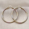 Oro Laminado Large Hoop, Gold Filled Style Hollow Design, Diamond Cutting Finish, Tricolor, 02.213.0243.50
