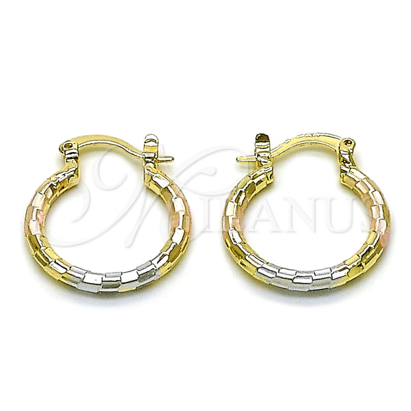 Oro Laminado Small Hoop, Gold Filled Style Diamond Cutting Finish, Tricolor, 02.170.0577.1.20