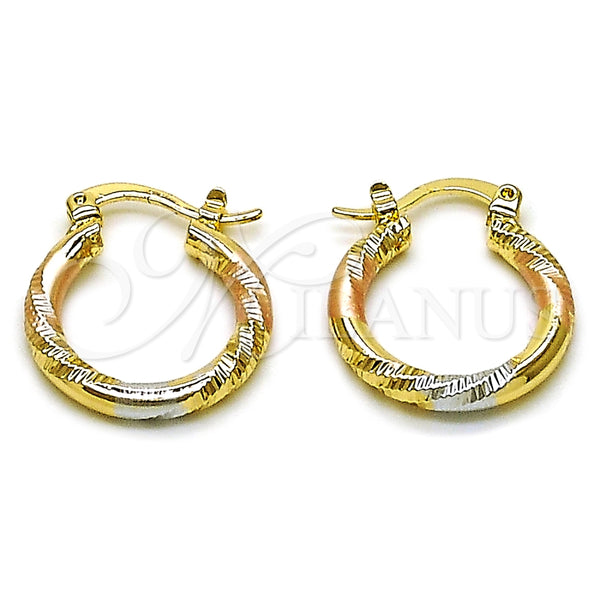 Oro Laminado Small Hoop, Gold Filled Style Diamond Cutting Finish, Tricolor, 02.170.0598.1.20
