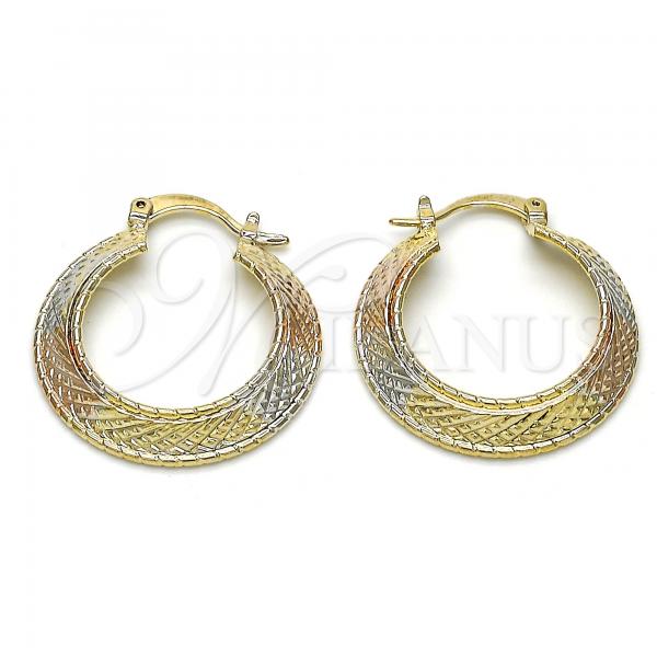 Oro Laminado Small Hoop, Gold Filled Style Diamond Cutting Finish, Tricolor, 02.65.2605.25