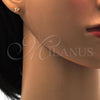 Stainless Steel Stud Earring, Star Design, with Champagne Cubic Zirconia, Polished, Golden Finish, 02.271.0006.5