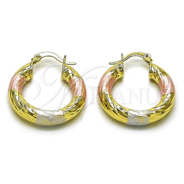 Oro Laminado Small Hoop, Gold Filled Style Hollow Design, Diamond Cutting Finish, Tricolor, 02.213.0311.1.25