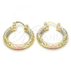 Oro Laminado Small Hoop, Gold Filled Style Hollow Design, Diamond Cutting Finish, Tricolor, 02.170.0135.1.25