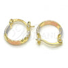 Oro Laminado Small Hoop, Gold Filled Style Diamond Cutting Finish, Tricolor, 02.96.0086.2.15