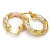 Oro Laminado Small Hoop, Gold Filled Style Hollow and Twist Design, Polished, Tricolor, 02.170.0144.25