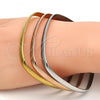 Stainless Steel Trio Bangle, Polished, Tricolor, 07.244.0007.06 (05 MM Thickness, Size 6 - 2.75 Diameter)