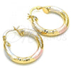 Oro Laminado Small Hoop, Gold Filled Style Diamond Cutting Finish, Tricolor, 02.170.0250.25