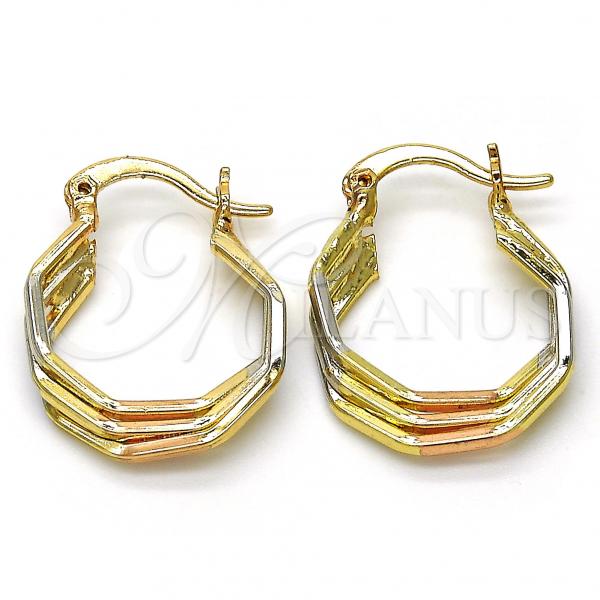 Oro Laminado Small Hoop, Gold Filled Style Diamond Cutting Finish, Tricolor, 02.102.0052.20