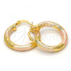 Oro Laminado Small Hoop, Gold Filled Style Diamond Cutting Finish, Tricolor, 5.139.004.25