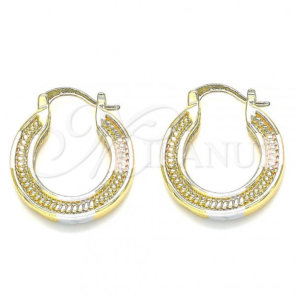 Oro Laminado Small Hoop, Gold Filled Style Polished, Tricolor, 02.170.0318.1.20