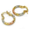 Oro Laminado Small Hoop, Gold Filled Style Diamond Cutting Finish, Tricolor, 02.102.0051.20