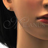 Stainless Steel Stud Earring, Star Design, with Champagne Cubic Zirconia, Polished, Golden Finish, 02.271.0006.5