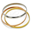 Stainless Steel Trio Bangle, Polished, Tricolor, 07.244.0005.06 (06 MM Thickness, Size 6 - 2.75 Diameter)