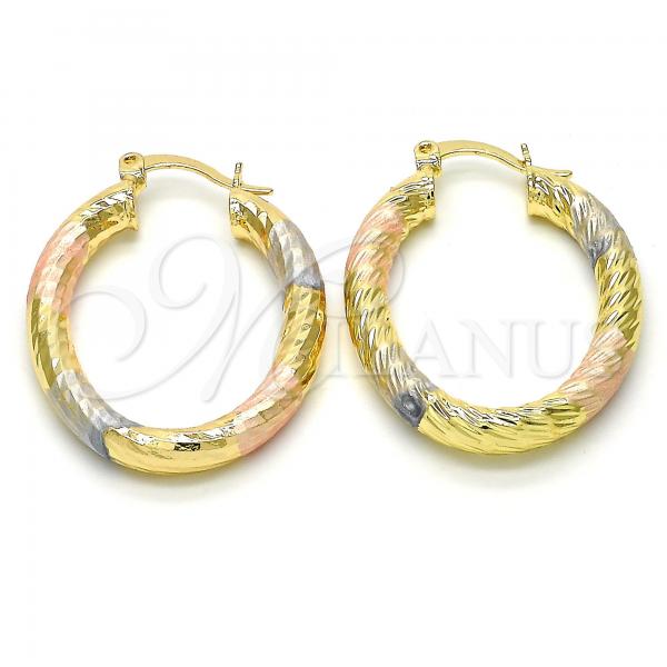 Oro Laminado Small Hoop, Gold Filled Style Hollow Design, Diamond Cutting Finish, Tricolor, 02.170.0068.1.25