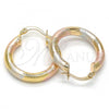 Oro Laminado Small Hoop, Gold Filled Style Hollow Design, Diamond Cutting Finish, Tricolor, 5.139.020.1.25